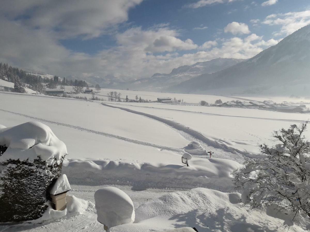 Haus Waldegg Daire Brixen im Thale Dış mekan fotoğraf