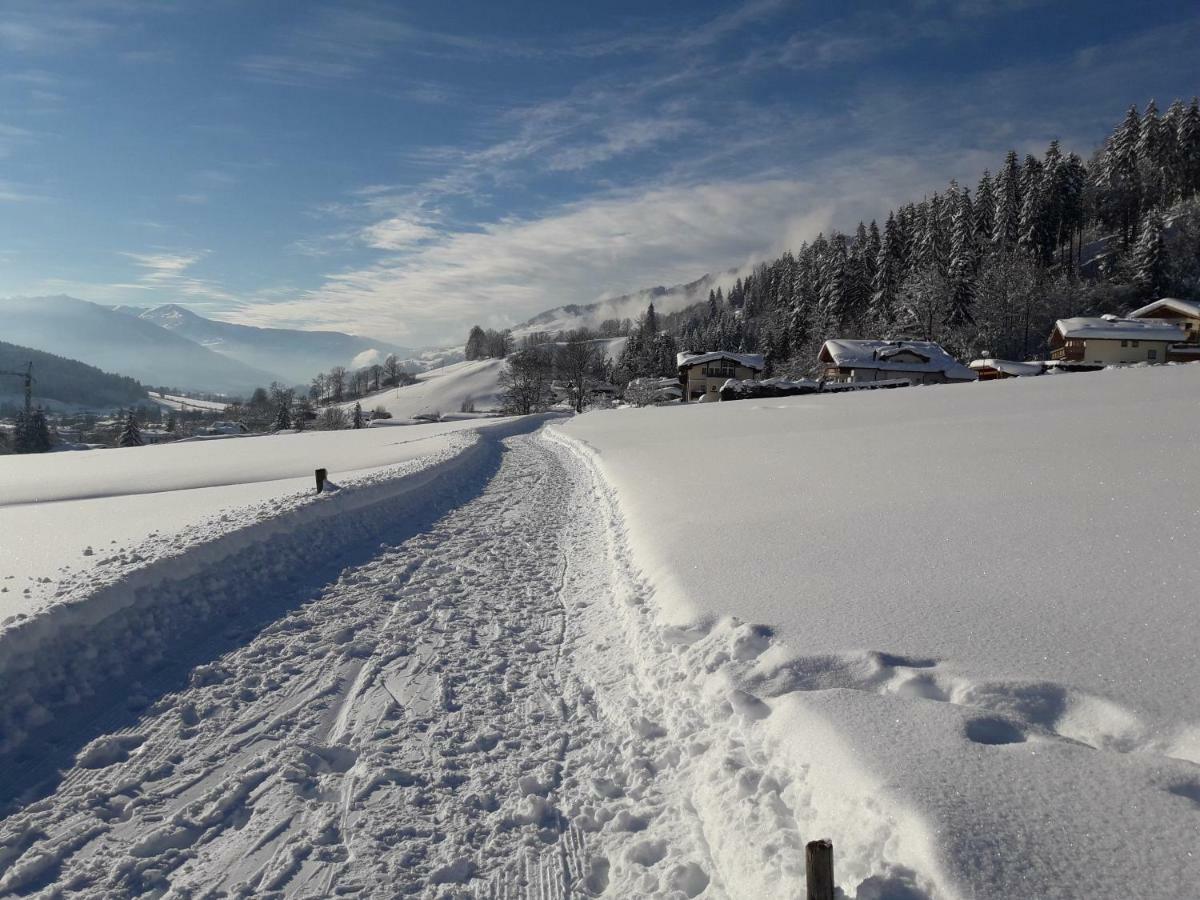 Haus Waldegg Daire Brixen im Thale Dış mekan fotoğraf